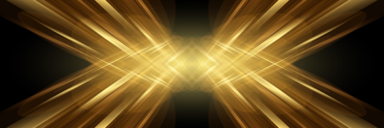 RAPID365