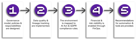 Nexer Insight - Data Governance - How it Works Diagram